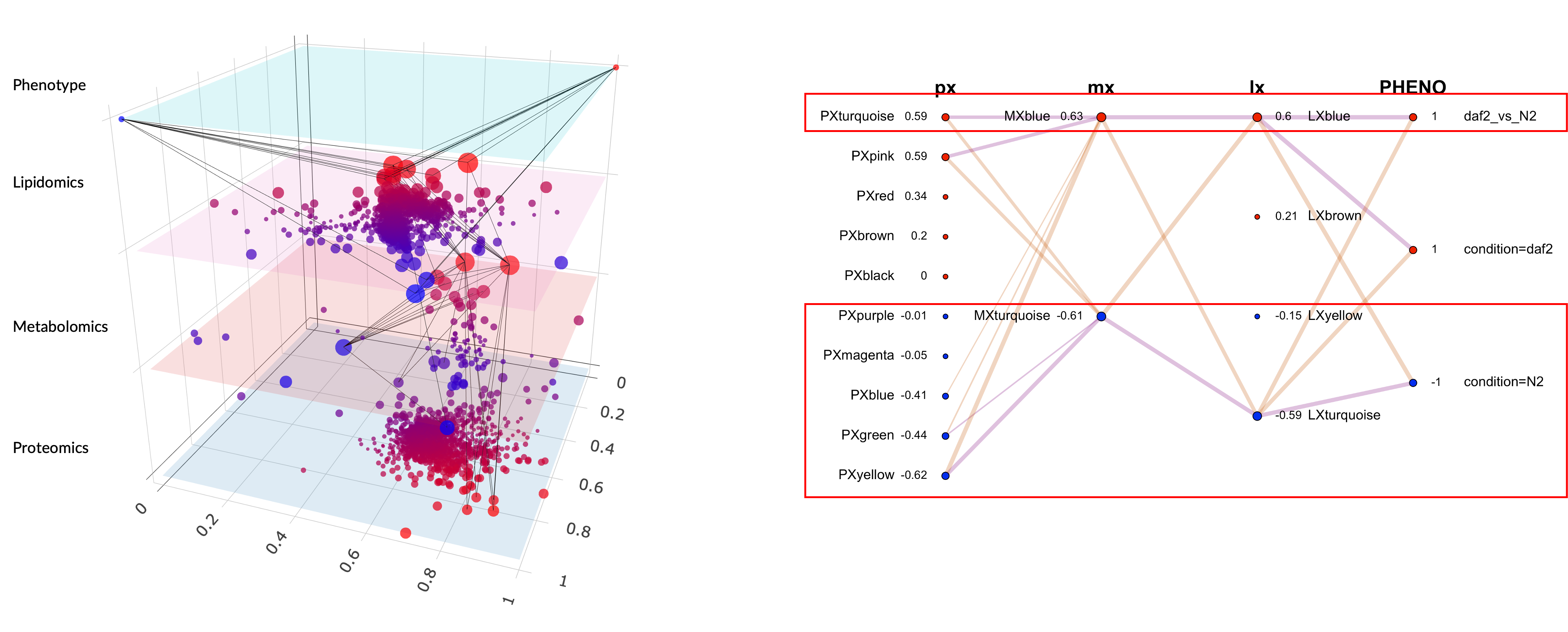 LASAGNA multi-partite graph showing cross-omics module correlations between proteomics, metabolomics, and lipidomics layers in daf-2 vs N2 C. elegans.